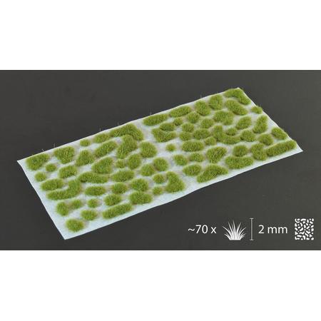 Dry Green Tufts Wild (2mm)